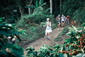 BIB: 
                            <button type="button" onclick="openModal(25799573)" class="btn btn-primary btn-sm float-right btn-popup" data-toggle="modal" data-target=".modal-high-quality">
                        <i class="fas fa-shopping-cart"></i> Add to Cart
                    </button>
                                            <button type="button" onclick="isThisMe(25799573, true)" class="btn btn-success btn-sm float-right btn-popup btn-isme hidden" data-toggle="tooltip" data-placement="bottom" title="นี่คือรูปของคุณใช่ไหม คลิกที่นี่เพื่อเอาเข้าอัลบั้ม">
                        <i class="fas fa-plus"></i> Add to album
                    </button>
                    <button type="button" onclick="isThisMe(25799573, false)" class="btn btn-warning btn-sm float-right btn-popup btn-isnotme hidden">
                        <i class="fas fa-ban"></i> Remove from album
                    </button>